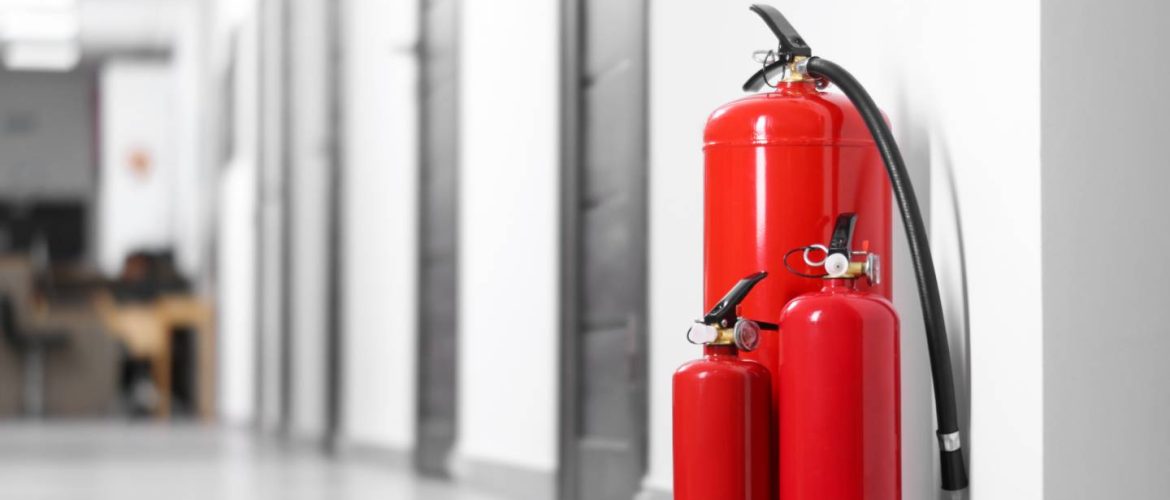 shutterstock 2476006315